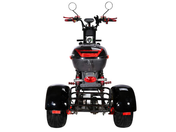 Электроскутер SKYBOARD TRIKE BR40-3000 PRO FAST